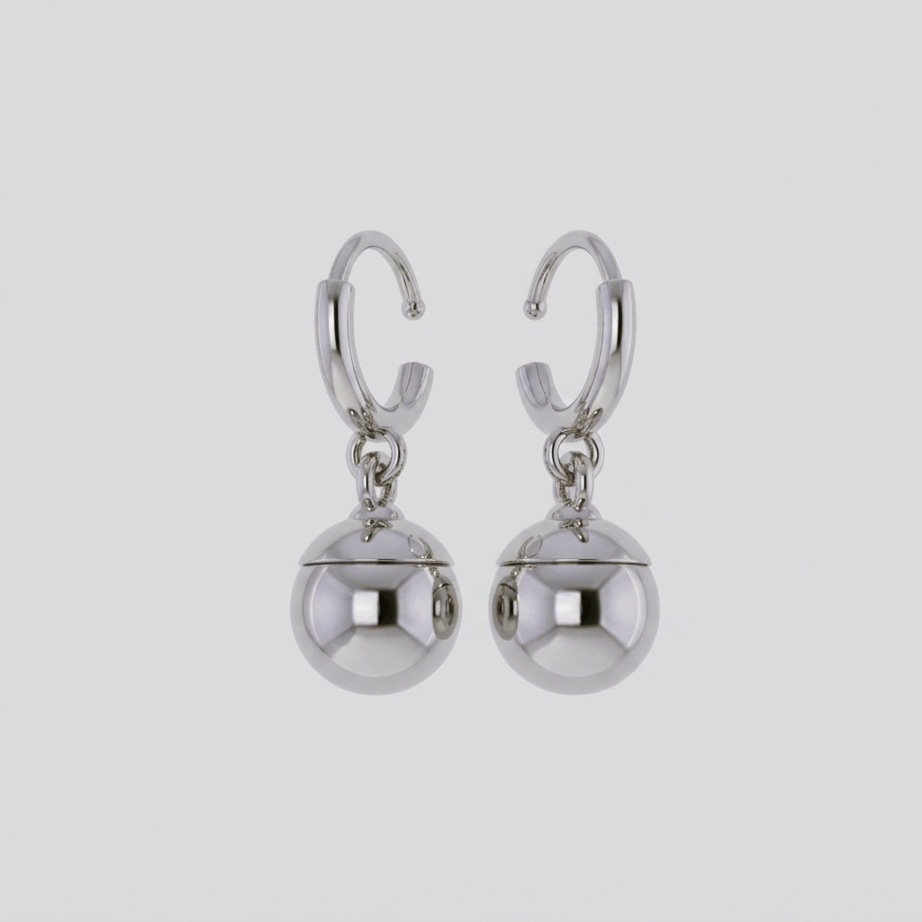 Pair of silver earrings on a white background