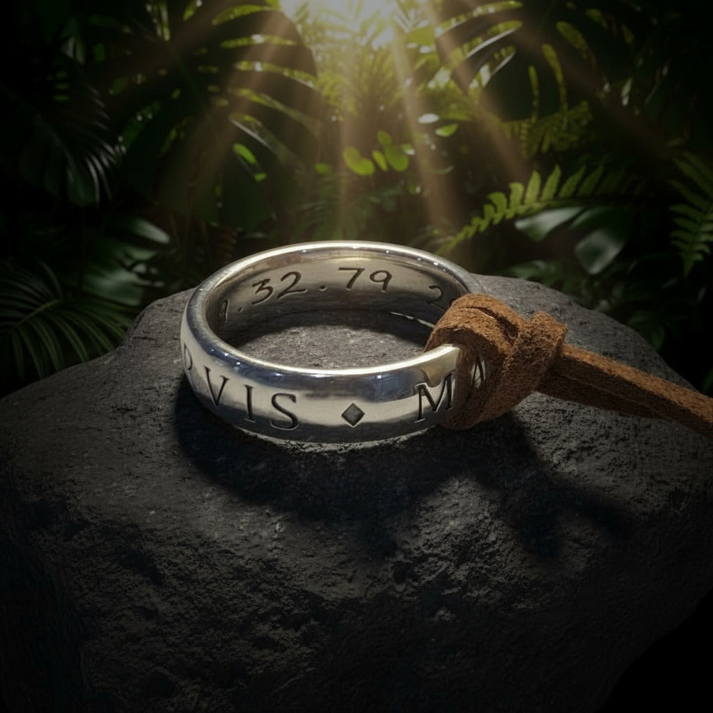 Sir Francis Drake Ring – Sic Parvis Magna Inscription | Historical ...
