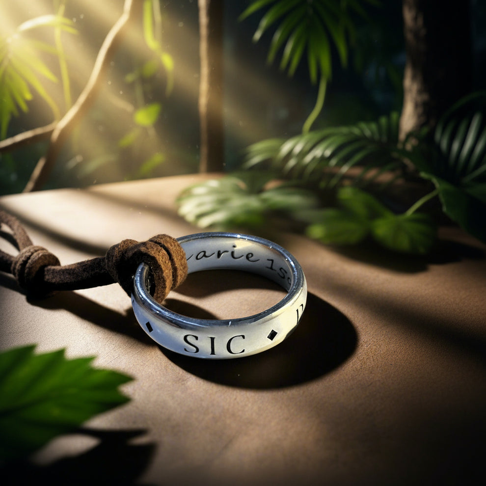 Sir Francis Drake Ring – Sic Parvis Magna Inscription | Historical ...
